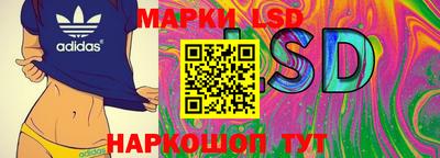 apvp Краснодар