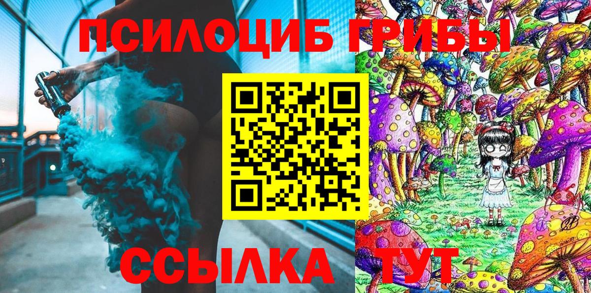 Галлюциногенные грибы прущие грибы Калининград