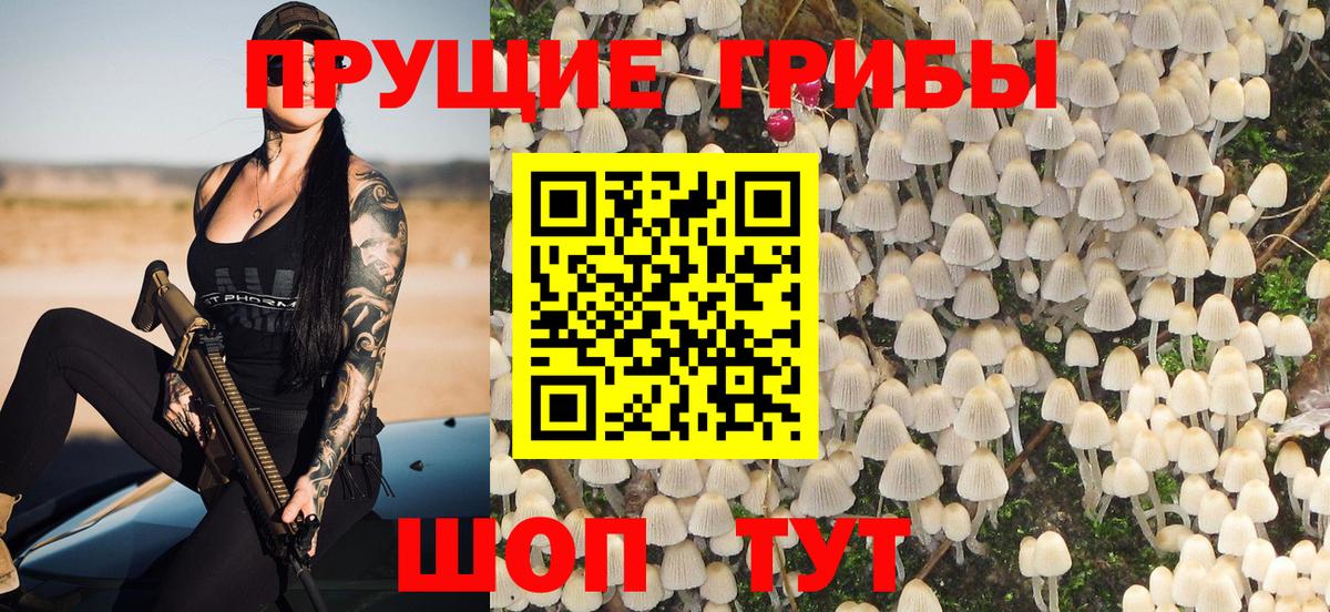 Галлюциногенные грибы Magic Shrooms  Вход с VPN  Калининград 
