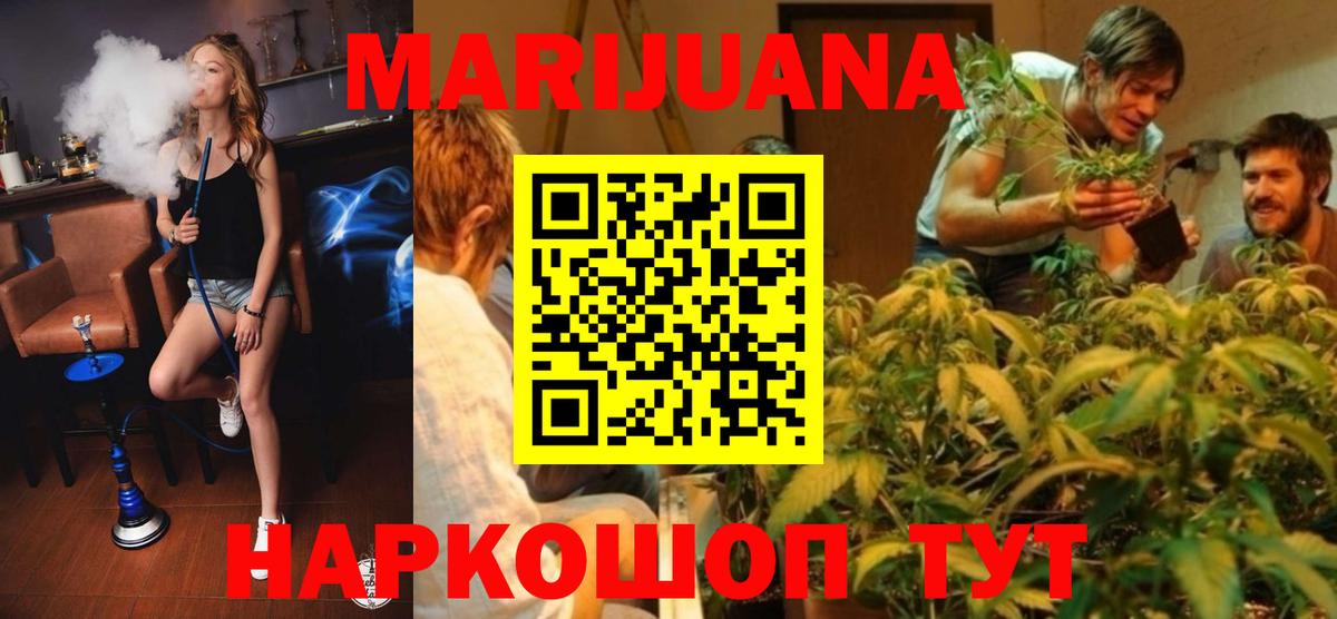 Бошки Шишки планчик  Марихуана тримм  Каннабис конопля  Канабис ГИДРОПОН  Калининград  Вход с VPN 